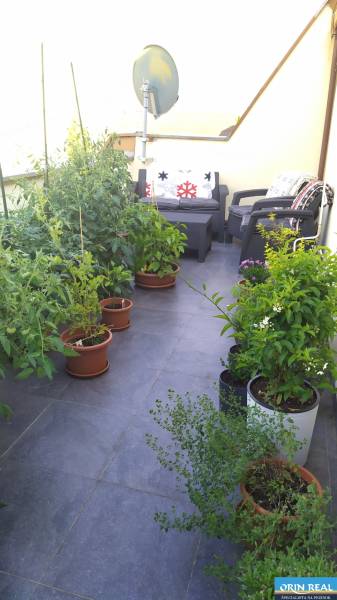IMG_20220620_181839.jpg