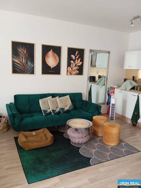 5e384d9b-238e-4435-9cba-86f67ceaf00d – kópia.JPG