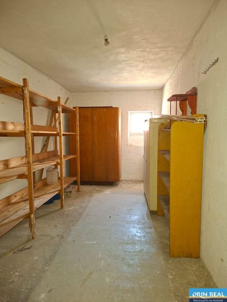 IMG_1338.jpeg