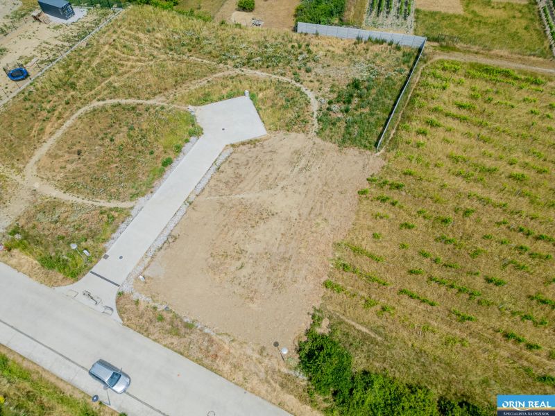 DJI_0955.jpg