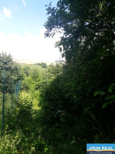 20200720_134345.jpg