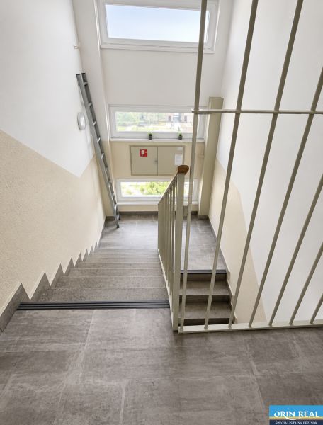 IMG_5488.jpg
