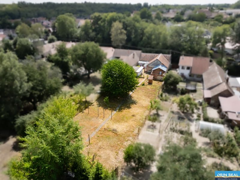 DJI_0099.jpg