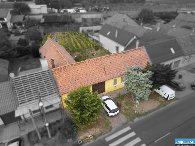 DJI_0141.jpg