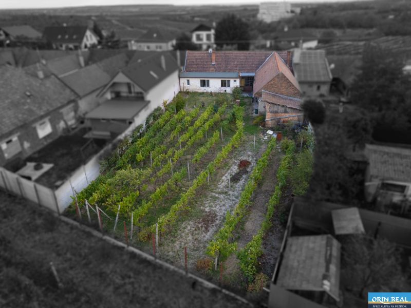 DJI_0146.jpg