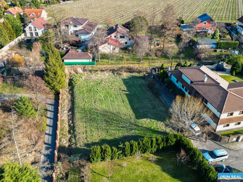 dji_fly_20250320_231204_449_1743088473225_photo.jpg
